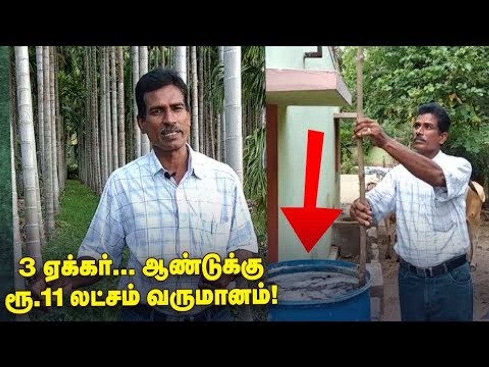 'ஜீரோ பட்ஜெட்' இயற்கை விவசாயத்தில் பாக்குச் சாகுபடி!