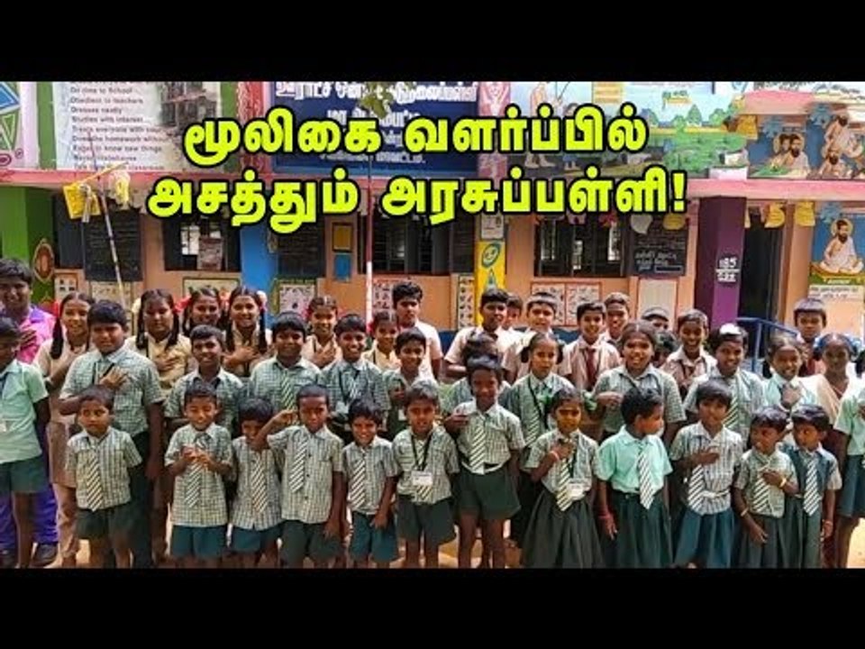மூலிகை வளர்க்கும் பள்ளி மாணவர்கள்!