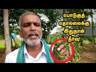 பொடுகுத் தொல்லைக்கு நிரந்தர தீர்வு தரும் மூலிகை!