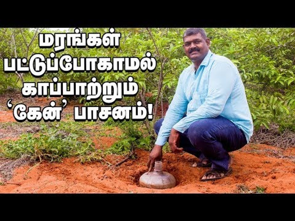 வறட்சிக்குக் கைகொடுக்கும் 'வாட்டர் கேன்' பாசனம்!