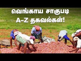 'வெங்காயம்...' நடவு முதல் அறுவடை வரை! |  வயல்வெளிப் பள்ளி | Onion Cultivation