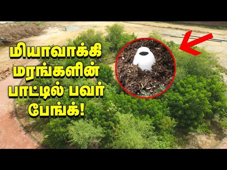 மியாவாக்கி மரங்களின் பாட்டில் பவர் பேங்க் - அசத்தும் தேனி இளைஞர்கள்! #PasumaiVikatan #Miyawaki