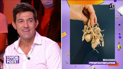 Quel est l'objet le plus précieux des chroniqueurs ?