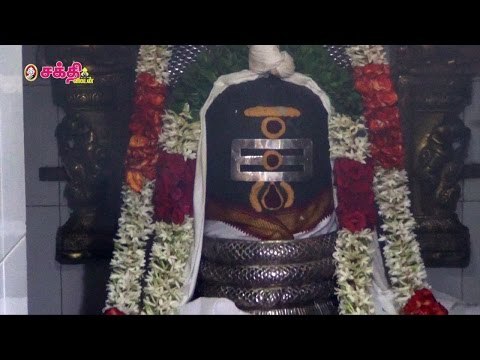 சிவராத்திரி சிறப்பு அபிஷேகம் :அருள்மிகு அம்பலவாணேசுவரர் ஆலயம்