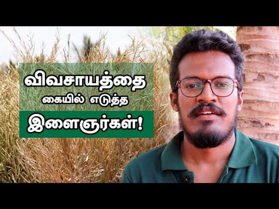 நாட்டுக் கடுகுச் சாகுபடியில் அசத்தும் தேனி இளைஞர்கள்!