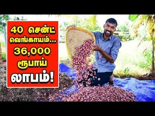 '40 சென்ட்... 30,000 ரூபாய் லாபம்' - வாழைக்கு ஊடுபயிராக சின்ன வெங்காயம்!