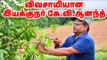 இயக்குநர் கே.வி.ஆனந்த்-ன் இயற்கை விவசாயம்! Director K.V.Anand Organic Farm