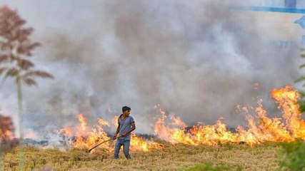 Will farm fires lead to rise in Covid-19 cases in India?