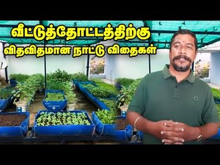 வீட்டுத்தோட்டம்... ஆடிப்பட்டத்துக்கு ஏற்ற நாட்டு விதைகள்! | Terrace Garden | Maadi Thottam