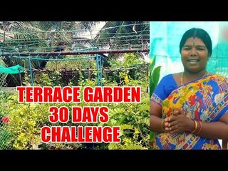 மாணவர்களுக்கு வீட்டுத்தோட்டம்... 30 நாள் சேலஞ்... அசத்தும் ஆசிரியை!