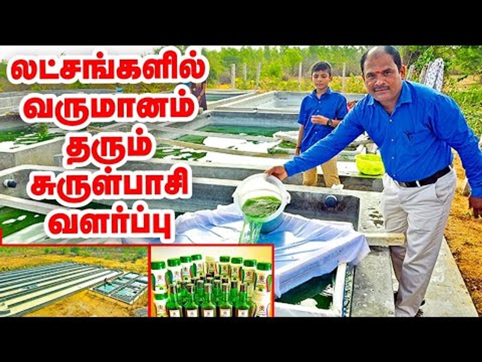 மாசத்துக்கு 4 லட்சம் வருமானம்.. தொட்டியில் வளரும் பணம்! #Spirulina #FarmingLeader