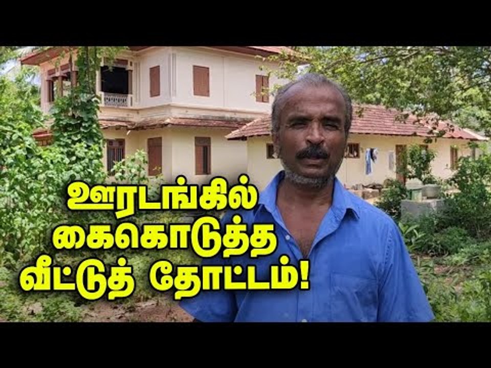கீரைகள், காய்கறிகள் அறுவடை... ஊரடங்கில் கைகொடுத்த வீட்டுத்தோட்டம்!