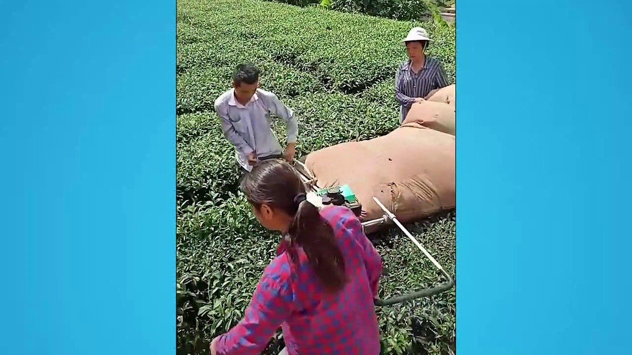 Satisfying Video That Will Relax Your Mind Before Sleep with Chilling & Relaxing