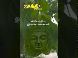 ஆன்மிகக் கேள்வி - பதில் : 1 வில்வ மரத்தை வீட்டில் வளர்க்கலாமா?