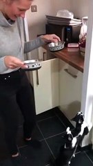 Rescued Kittens are just the cutest during feeding time.