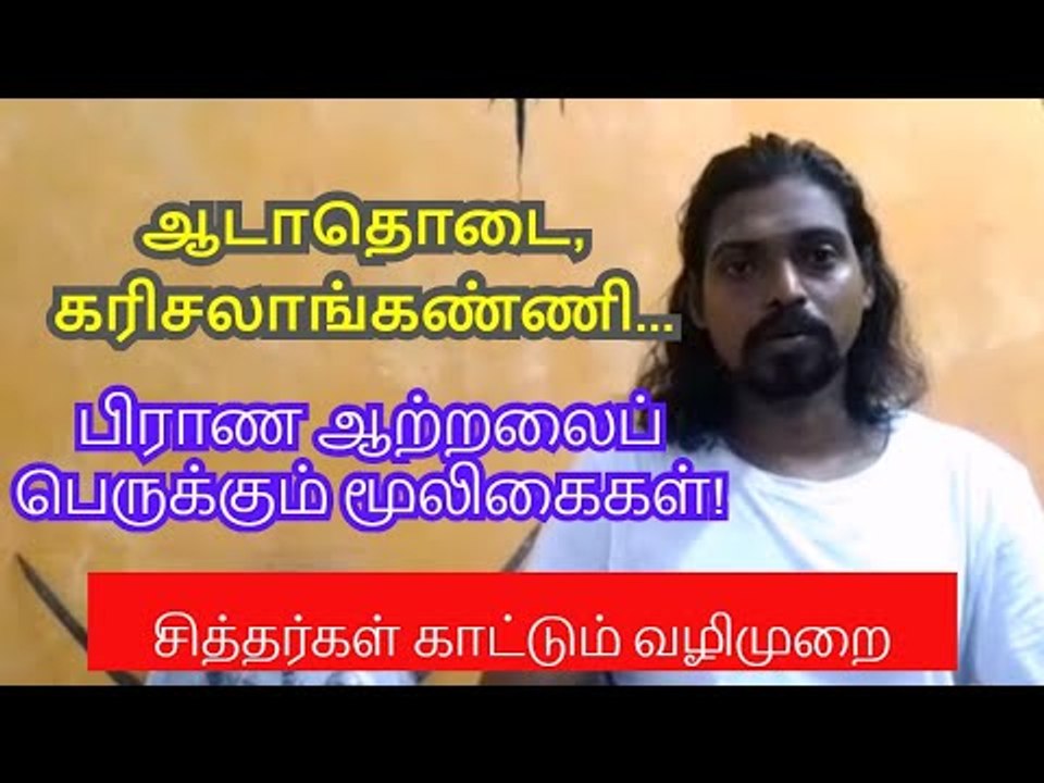ஆடாதொடை, கரிசலாங்கண்ணி... பிராண ஆற்றலைப் பெருக்கும் மூலிகைகள்!