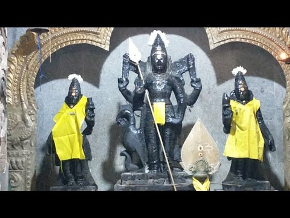வைகாசி விசாகம் 2020- பெருங்களத்தூர் காரணீஸ்வரர் கோயில்