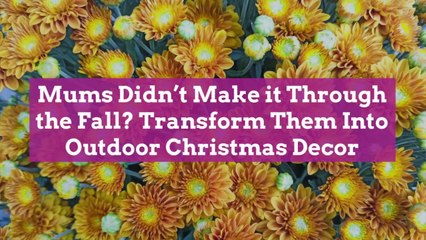 Mums Didn't Make it Through the Fall? Transform Them Into Outdoor Christmas Decor