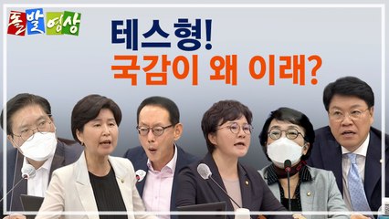 [주간 돌발영상] 2020년 10월 둘째 주  / YTN
