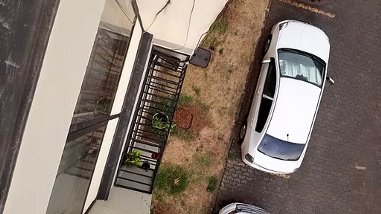 Chuva no Guará I