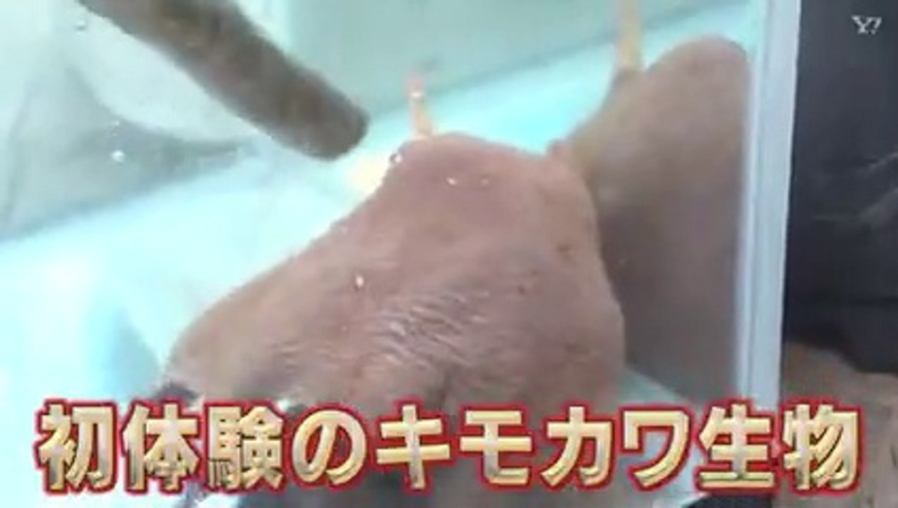BiSHのキレッキレJAPAN #2