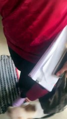 Dogs Are Excited to See Owners Coming Home