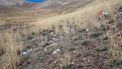 Van'da PKK terör örgütüne yönelik düzenlenen operasyonda mühimmat ele geçirildi