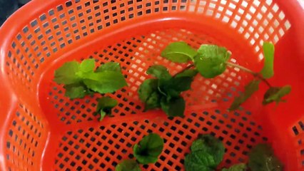 Mint Margarita Recipe _ A Refreshing Restaurant Style Drink