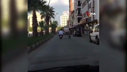 Manisa’da pes dedirten görüntü...Köpeği motosikletle koşturdular