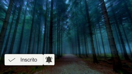 Sons da Natureza - Noite de Luar na Floresta 