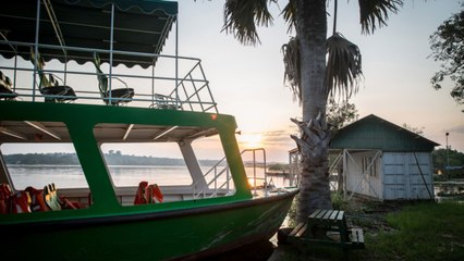 Uganda's Borders Have Reopened — Just Keep 32 Feet Away From the Gorillas