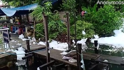 Sea Foam Floats into a Restaurant