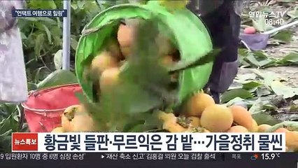 가을 정취 느끼며 힐링…'언택트 관광' 눈길