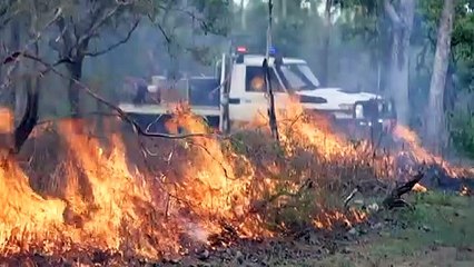 Scientists study impact of controlled burns on wildlife