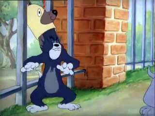 Tom i Dzeri - Pasji zivot (sinhronizovano)