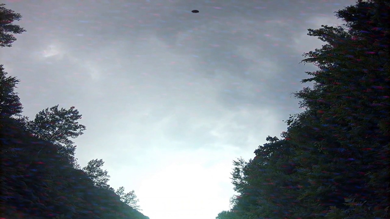 Increible video de un ovni en un bosque Año 2020