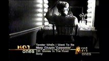 Mary Chapin Carpenter - Tender When I Want To Be 1995