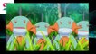 Pokemon Sword and Shield episode 41| preview| Pokemon Journeys episode 41