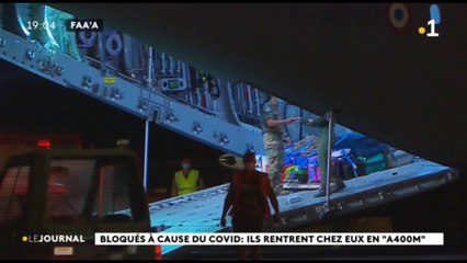 Les 20 pascuans sont rentrés chez eux, 7 résidents tahitiens sont revenus