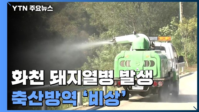 돼지열병 추가 발생 아직 없어 ...확산 방지 총력 / YTN