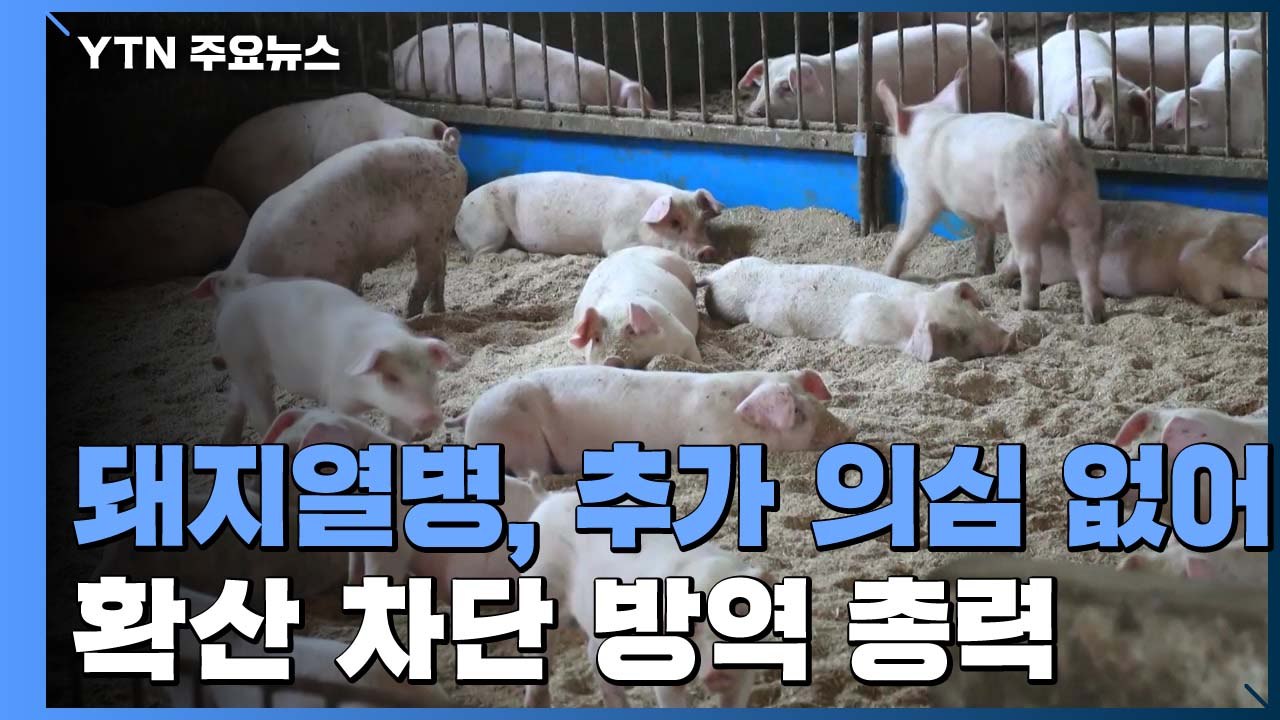 아프리카돼지열병 확산 방지 총력..."추가 의심돼지는 아직 없어" / YTN