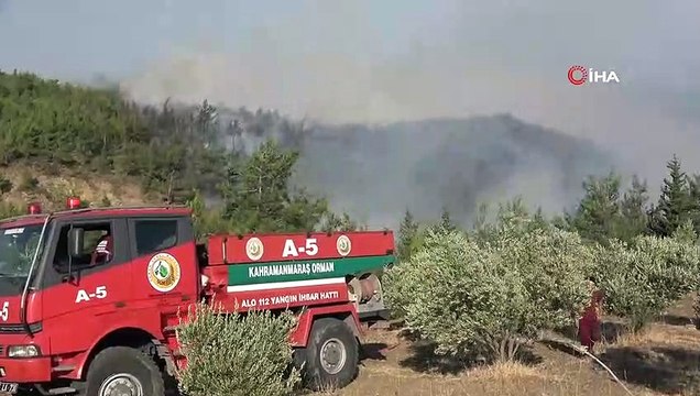 Yerleşim yerlerine ulaşan yangın fabrikaları büyük zarara soktu