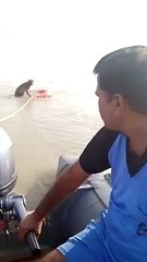 अयोध्या: नदी में डूबते बंदर के रेस्क्यू का वीडियो हुआ वायरल
