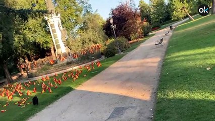 La Virgen del parque de Rosales amanece lleno de banderas