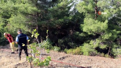 Hatay'daki orman yangınına müdahale sürüyor