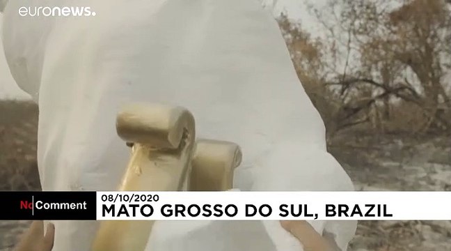 Greenpeace raises a statue of Brazil's Bolsonaro in burnt Pantanal wetlands