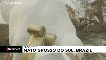 Greenpeace raises a statue of Brazil's Bolsonaro in burnt Pantanal wetlands