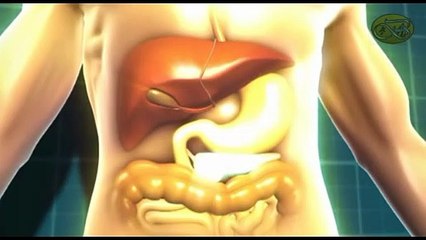 DANGEROUS WORMS OF STOMACH