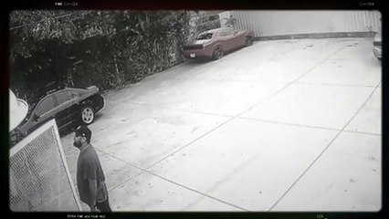 Man Checks on Ladder Instead of Fallen Friend