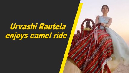 Urvashi Rautela enjoys camel ride